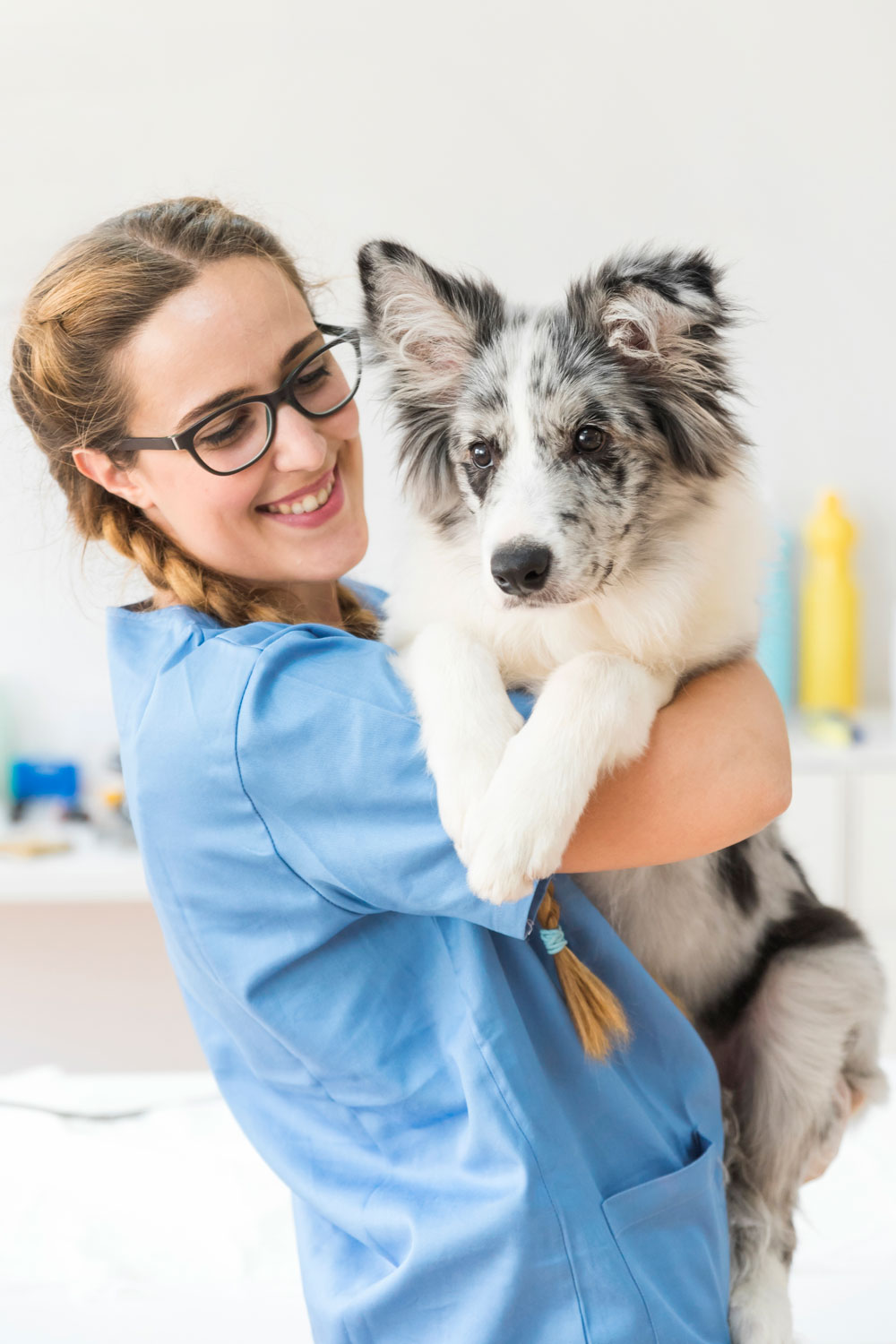 Veterinaria apreciendo en Google con Google Local Express